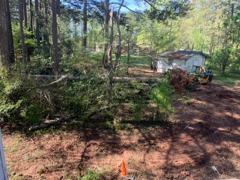 Sycon Restoration project photo 2