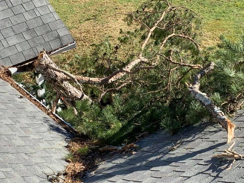 Sycon Restoration project photo 4