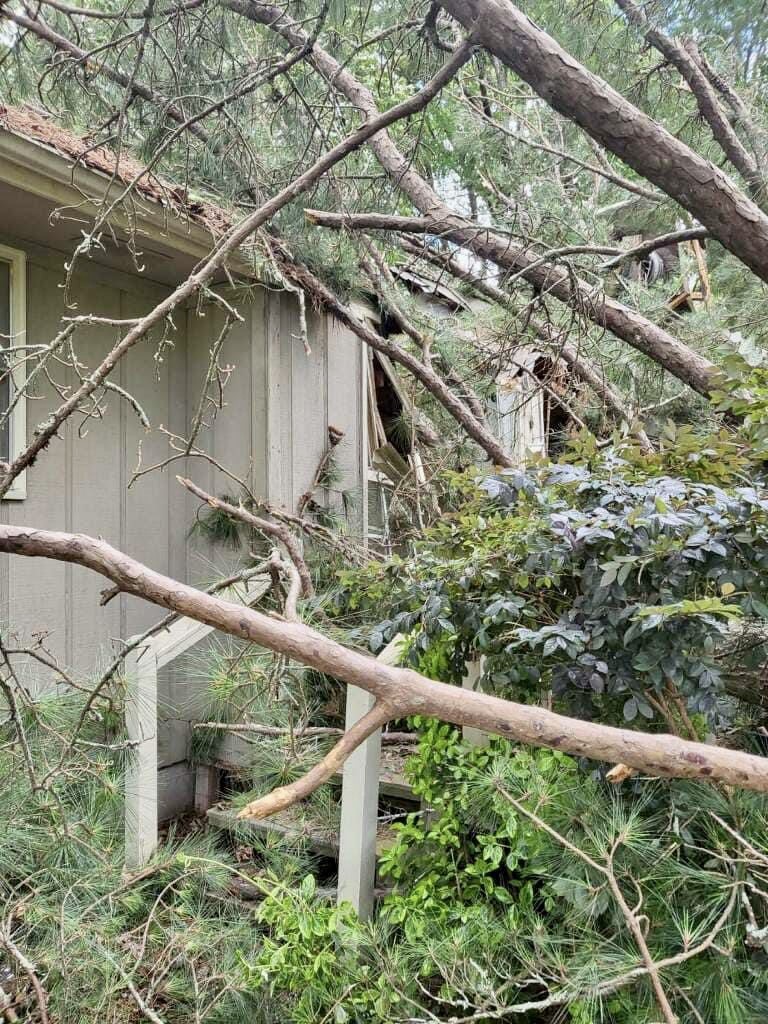 Sycon Restoration project photo 6