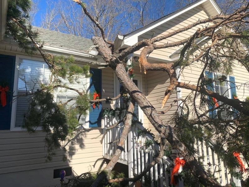 Sycon Restoration project photo 9