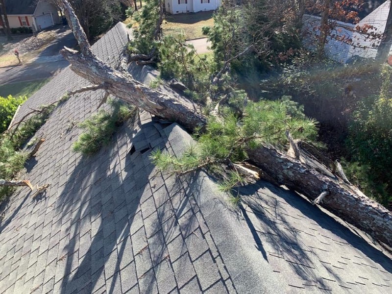 Sycon Restoration project photo 11